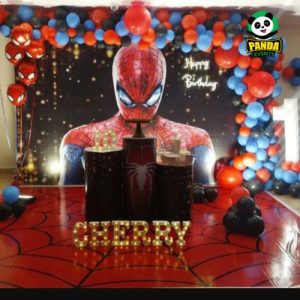 Spiderman Birthday Theme